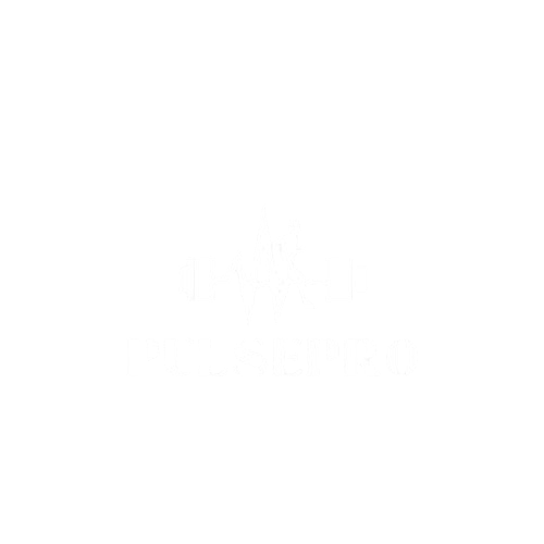 PulsePro